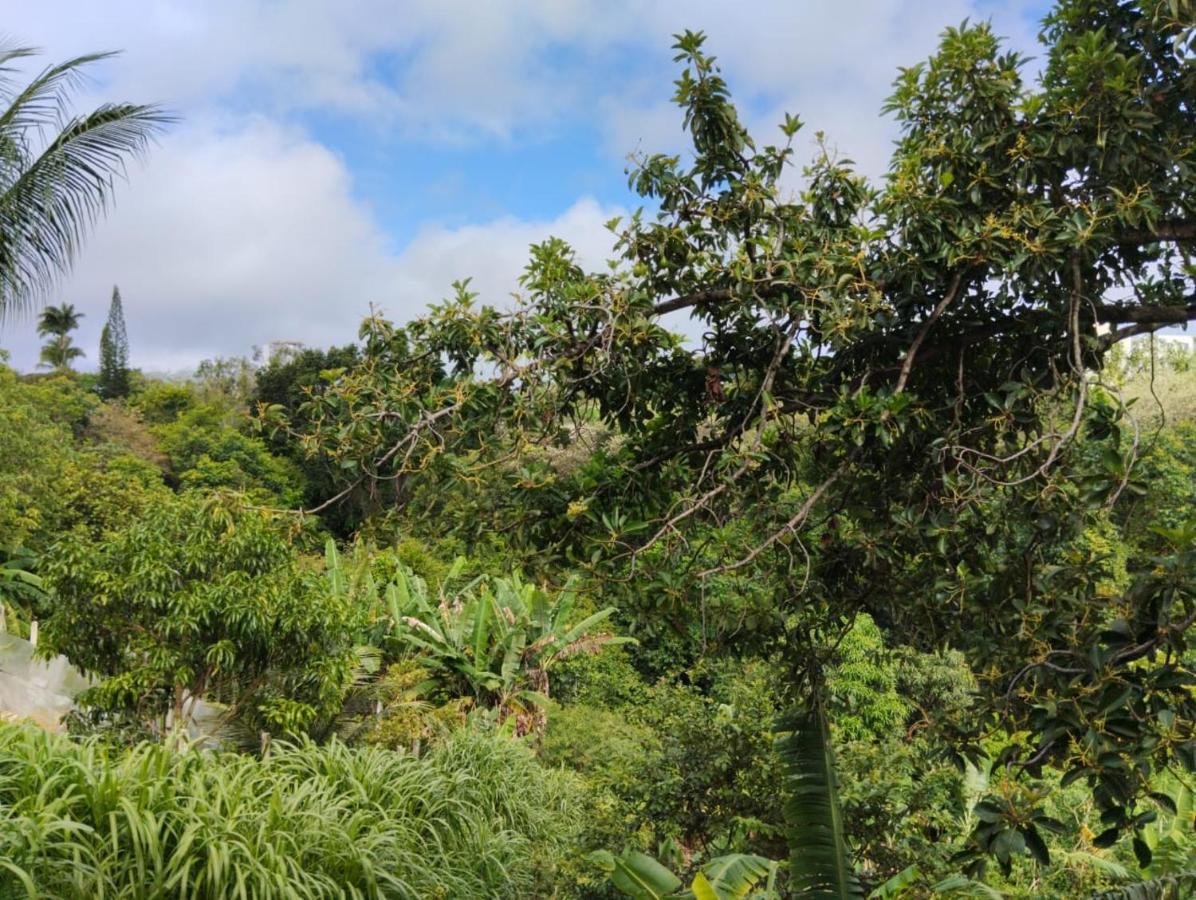 Apartamento Cercado Por Natureza E Diversao Maceio  Bagian luar foto