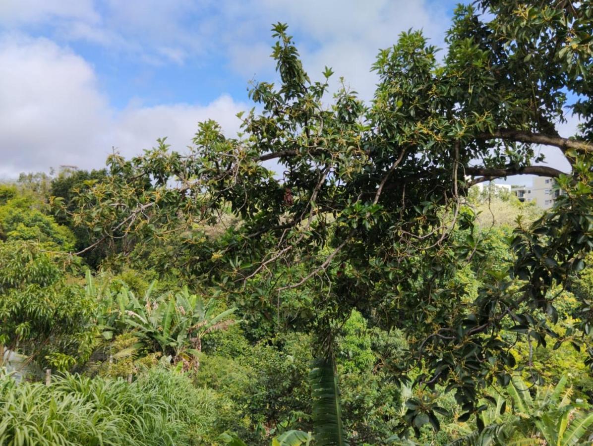 Apartamento Cercado Por Natureza E Diversao Maceio  Bagian luar foto